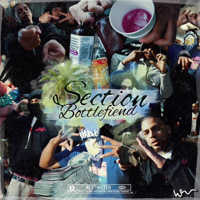 Section cover art