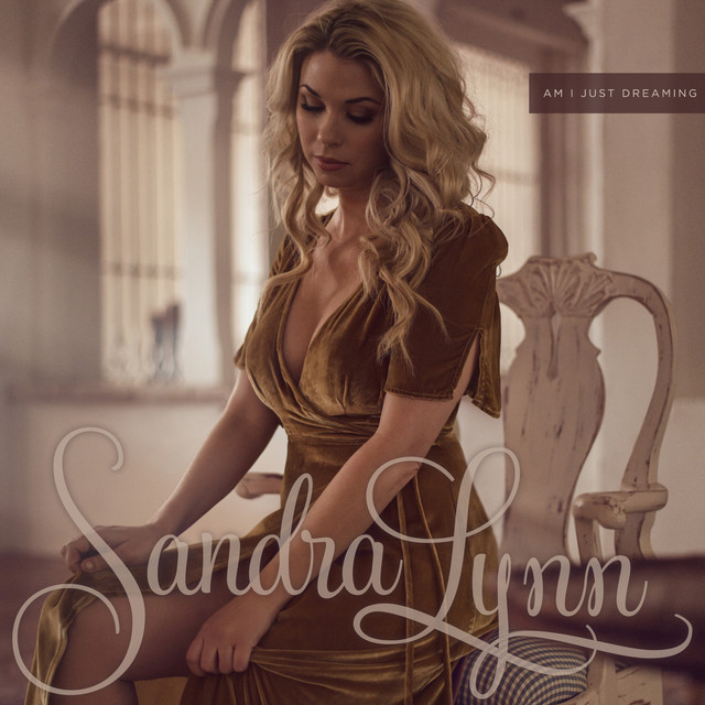 Am I Just Dreaming cover