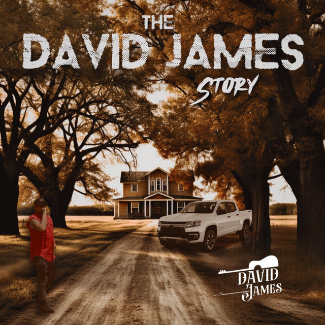 The David James Story cover art