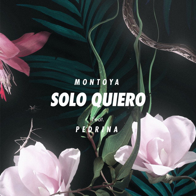 Solo Quiero