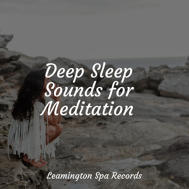Deep Sleep Sounds for Meditation - Album by Sons da natureza HD | Spotify