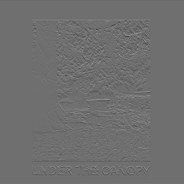 UNDER THE CANOPY cover art