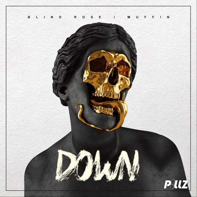 Down cover art