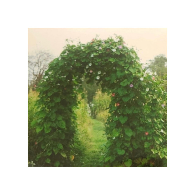 Sculpture (single)