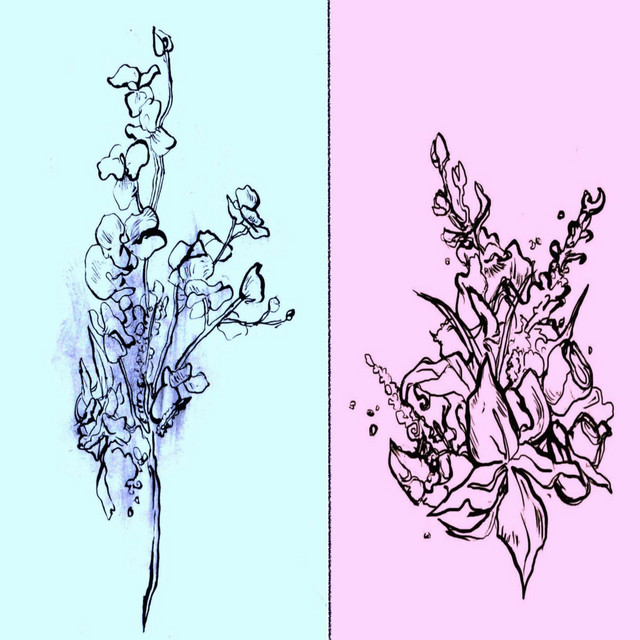 Haloed cover