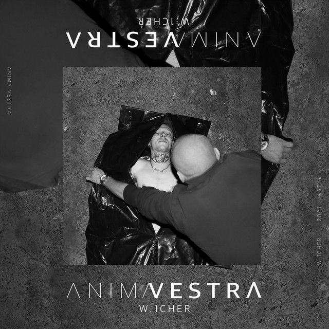 ANIMA VESTRA