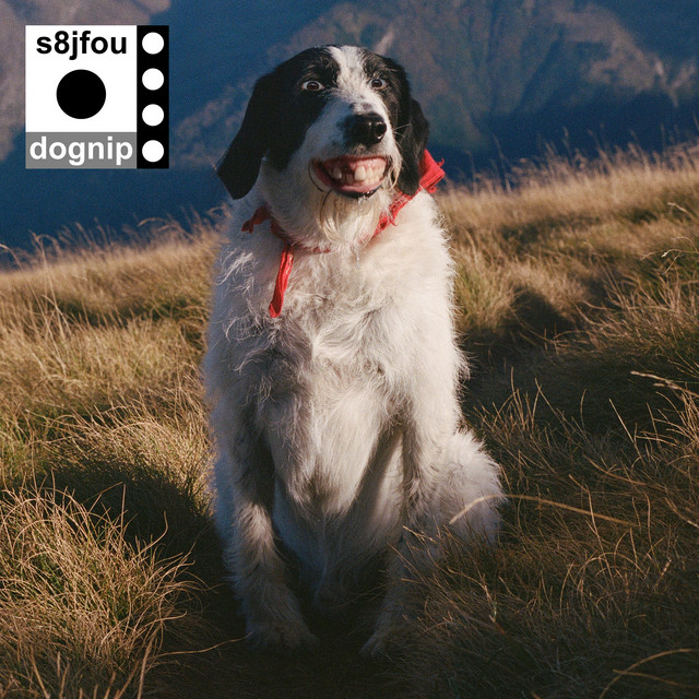 Dognip cover art