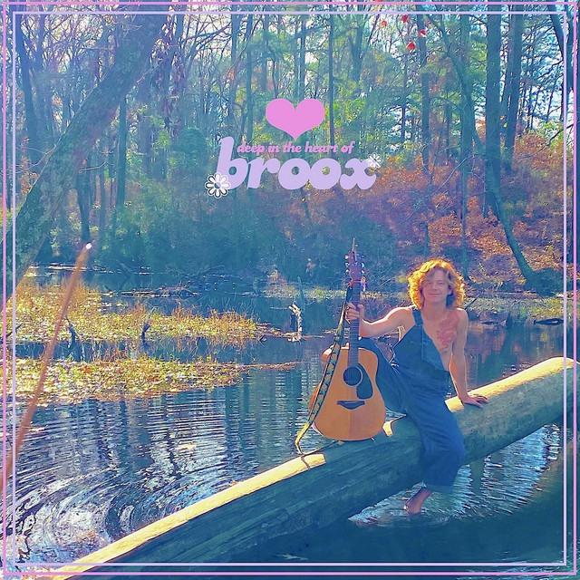 Deep in the Heart of Broox cover art