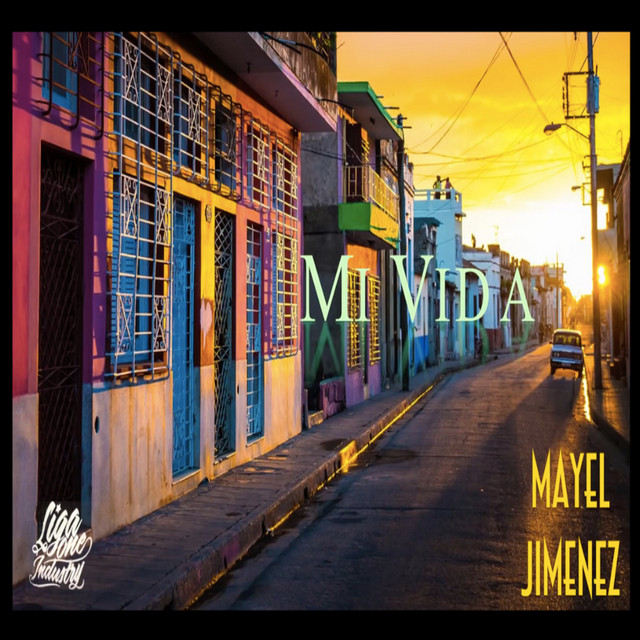 Mi Vida cover art