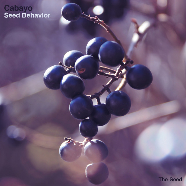 Seed Behaviour cover art