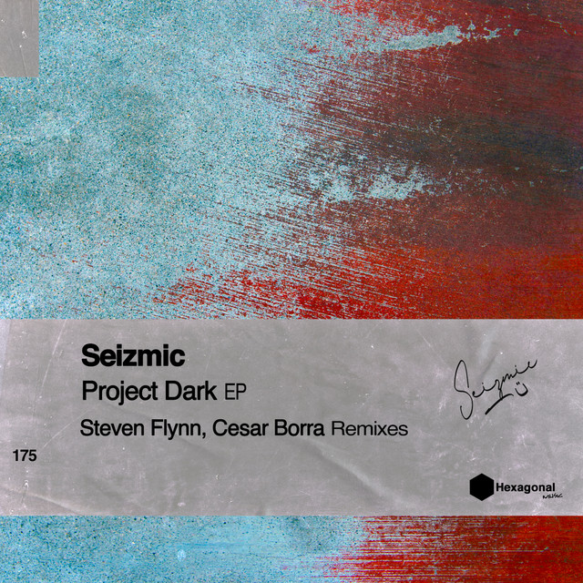Project Dark - Steven Flynn Remix cover art