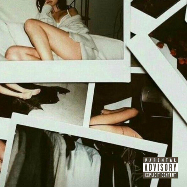 Selena cover art