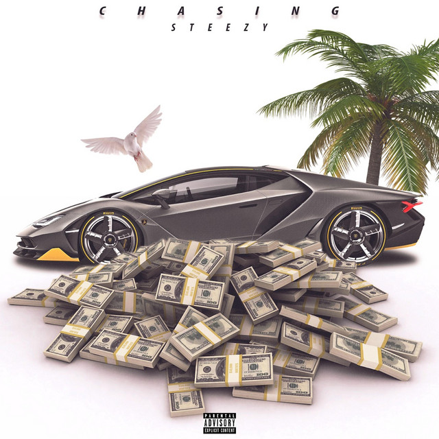 Chasing cover art