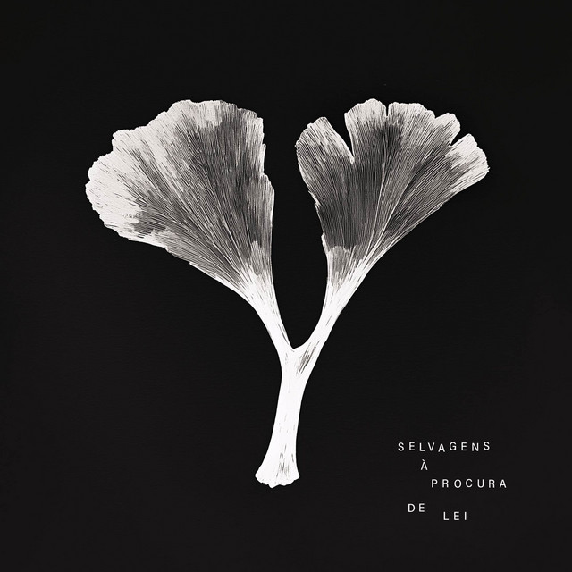 Y (Deluxe) cover art
