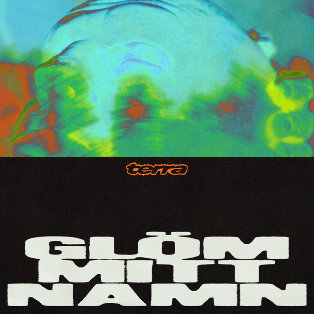 Glöm mitt namn cover art