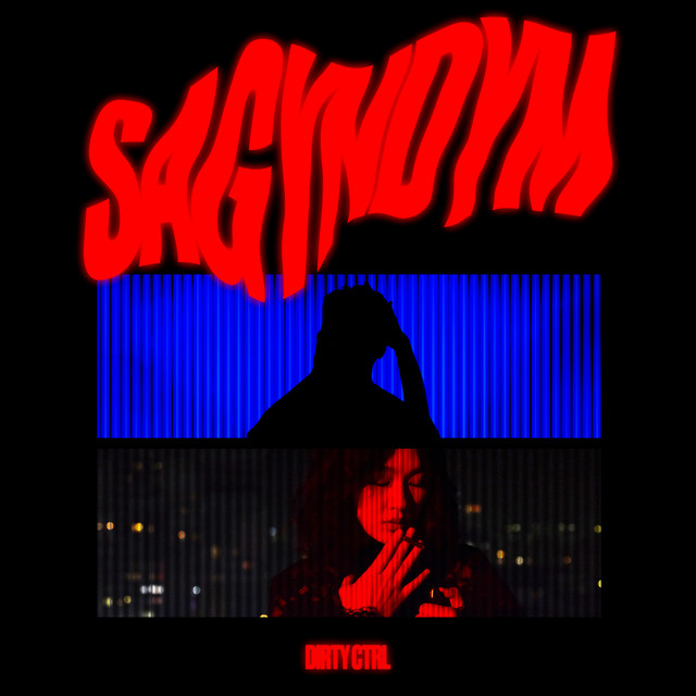 SAGYNDYM cover art