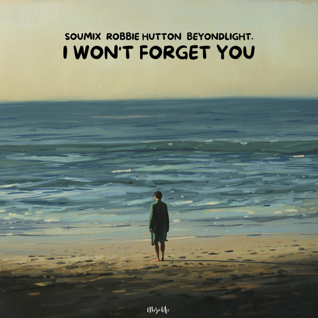 Обкладинка: I Won't Forget You — SouMix