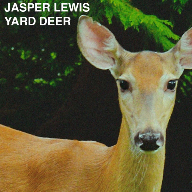 Yard Deer cover art