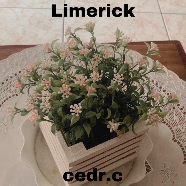 Limerick cover art