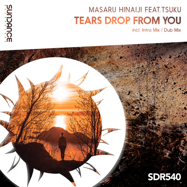 Tears Drop From You - Intro Mix cover art