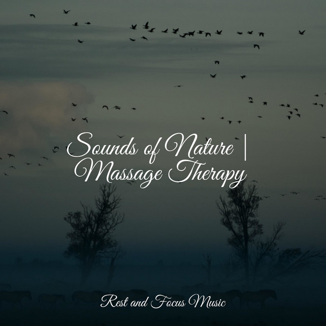 Sounds of Nature | Massage Therapy - Album by Bath Spa Relaxing Music ...