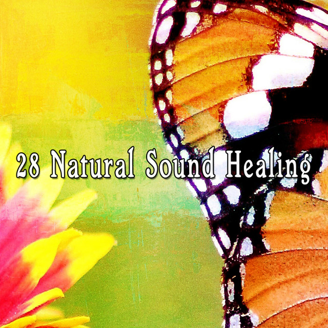 28 Natural Sound Healing cover art