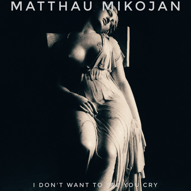 I Don't Want to See You Cry cover