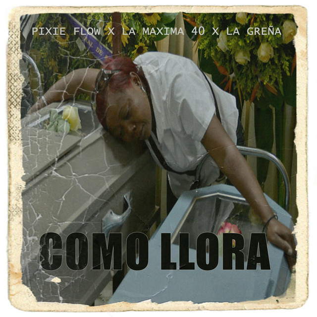 Pixie Flow, La Greña, La Maxima 40 – Como Llora