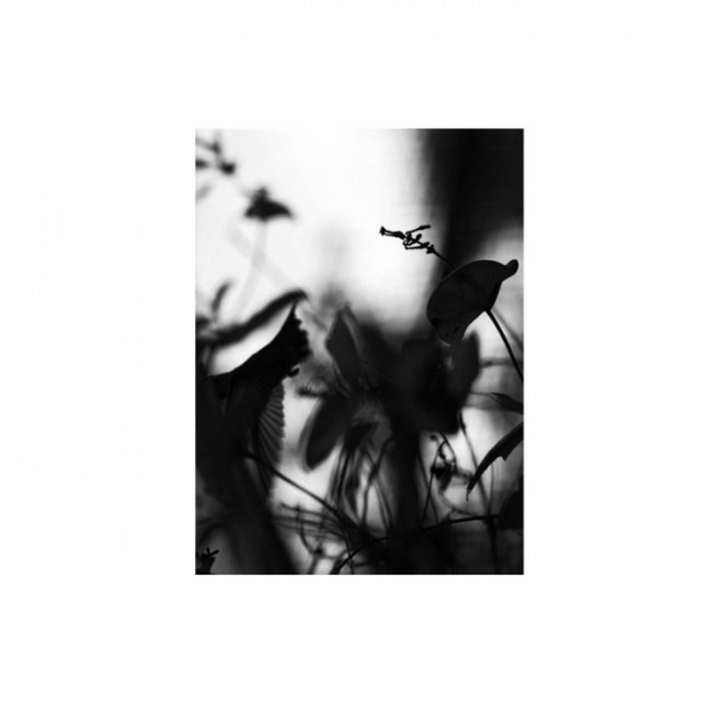 Whitey - Original Mix cover art