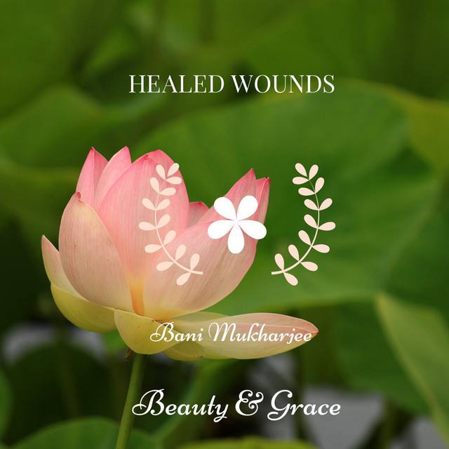 Healed Wounds (Original Mix)