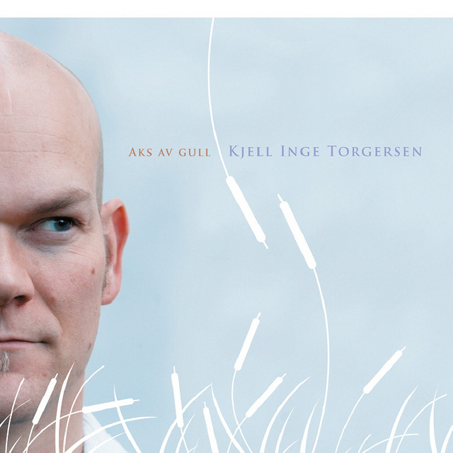 Aks Av Gull cover art