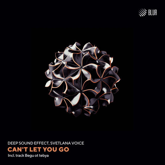 Can't Let You Go cover
