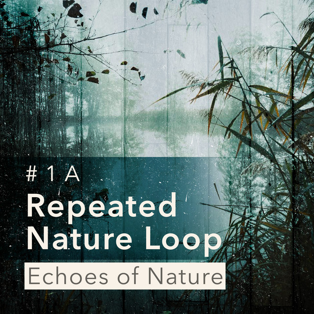 # 1 A Repeated Nature Loop - Album by Echoes Of Nature | Spotify