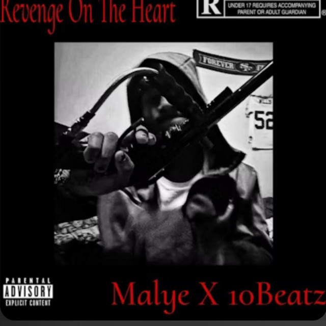 Revenge cover art