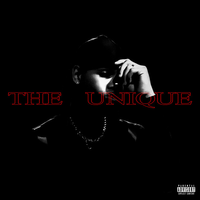 THE UNIQUE cover art