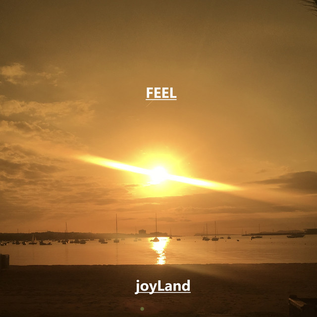 Feel cover