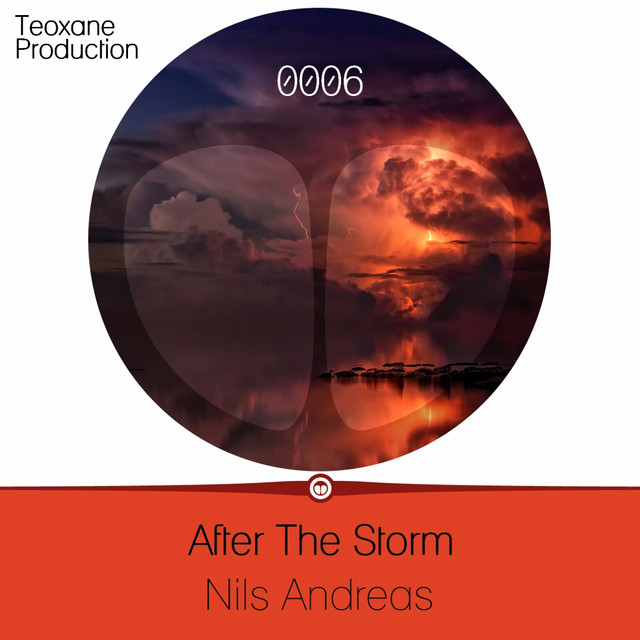 After the Storm cover art