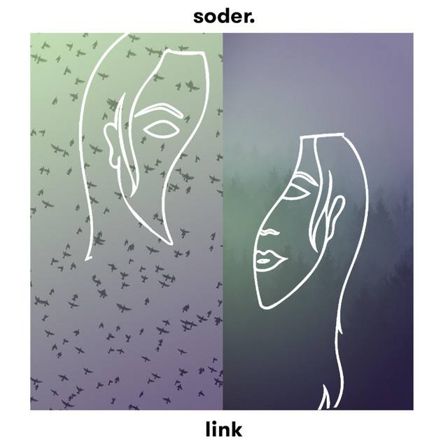 link cover art