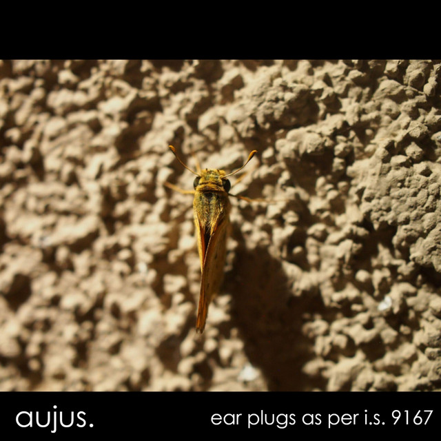 Ear Plugs as per IS 9167 cover art