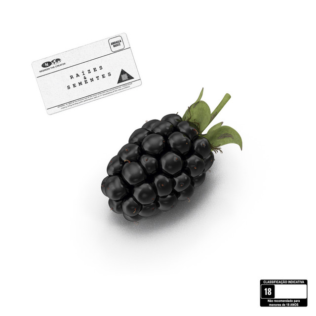 Raízes & Sementes cover art