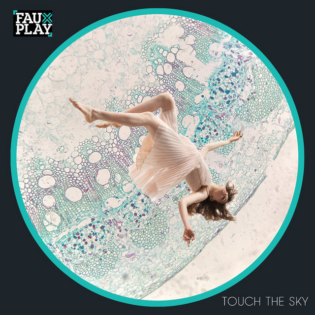 Rosie Touch the Sky album art
