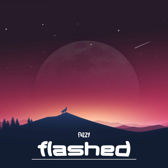 FLASHED cover art