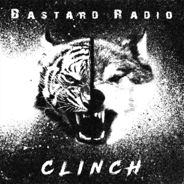 Clinch cover art