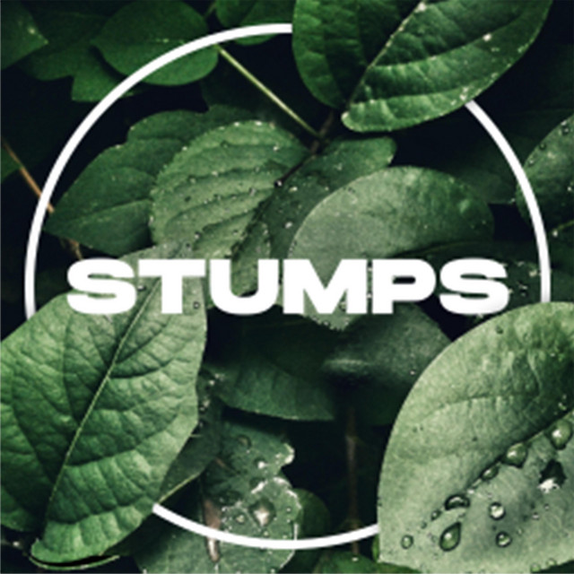 stumps cover art