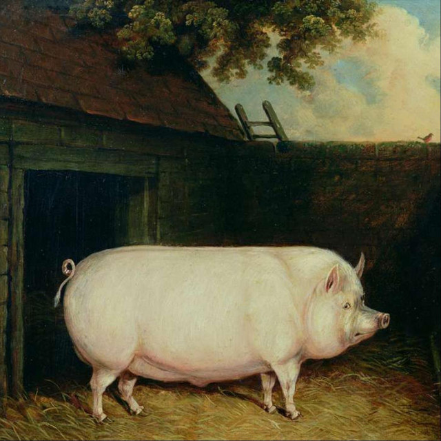 The Pig cover art