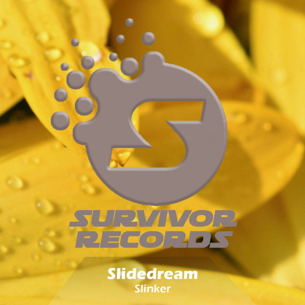 Slinker - Original Mix cover art