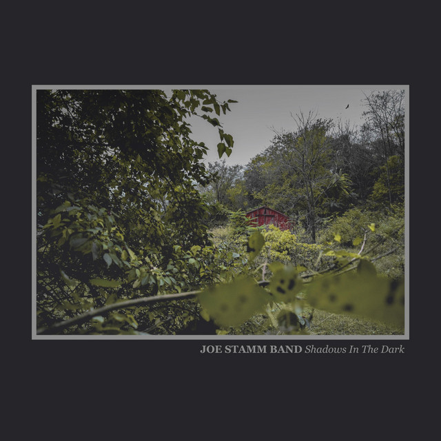 Shadows in the Dark cover art