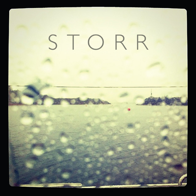 Storr cover art