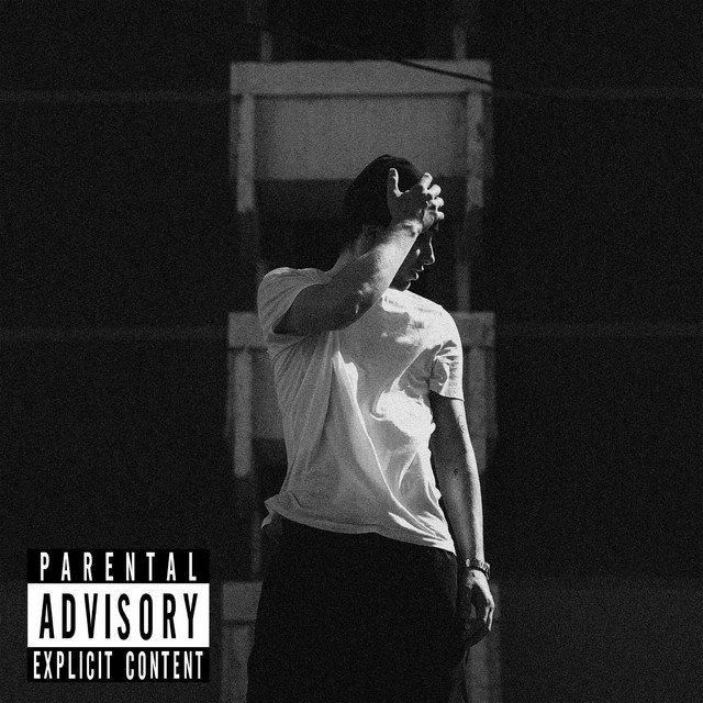 Квартальная кома cover art