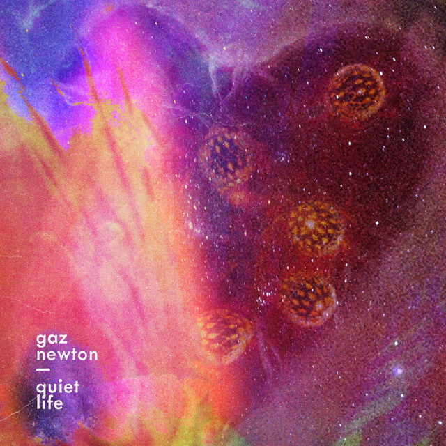 Quiet Life cover art